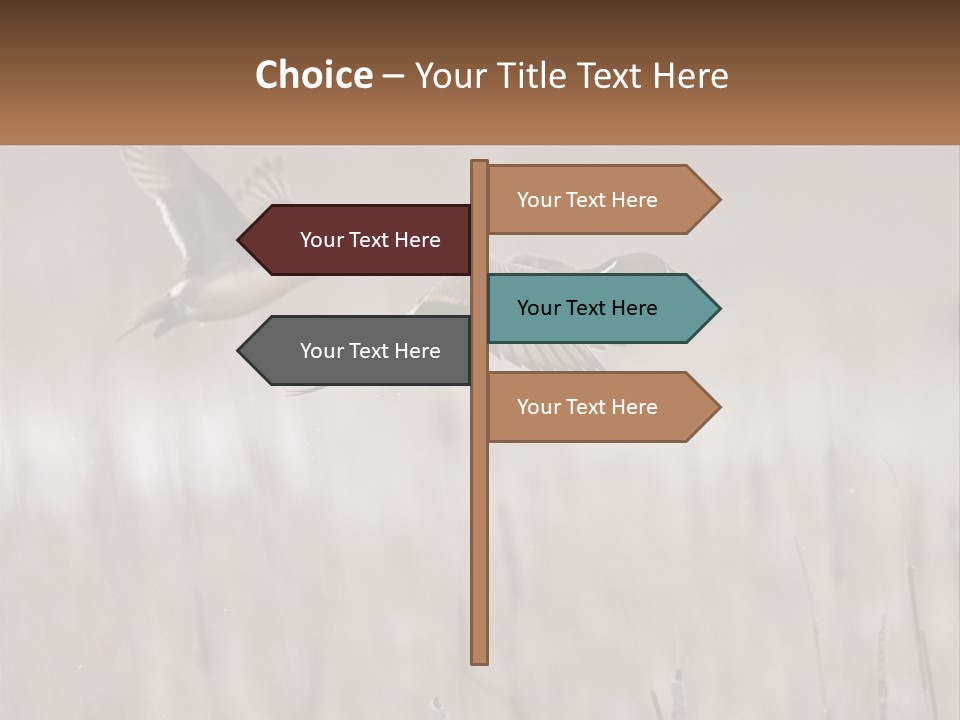 A Couple Of Birds Flying Over A Dry Grass Field PowerPoint Template