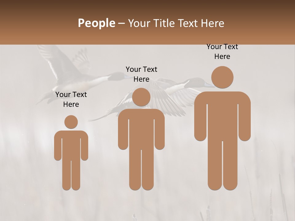 A Couple Of Birds Flying Over A Dry Grass Field PowerPoint Template