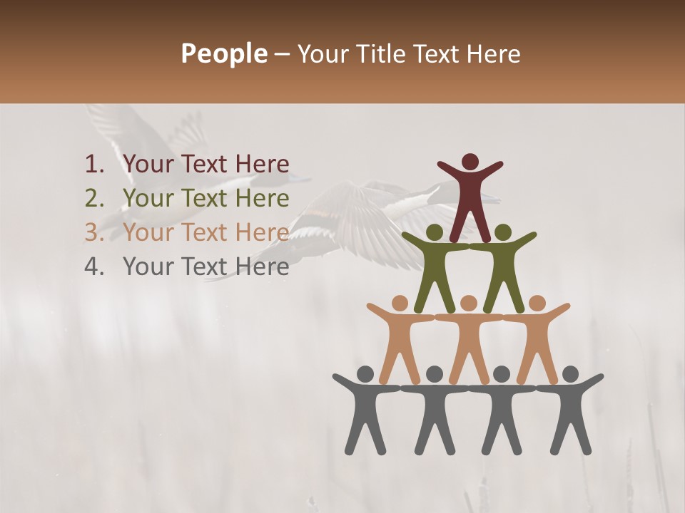 A Couple Of Birds Flying Over A Dry Grass Field PowerPoint Template