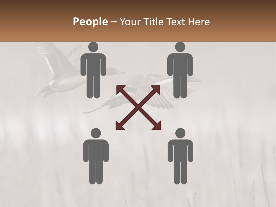 A Couple Of Birds Flying Over A Dry Grass Field PowerPoint Template