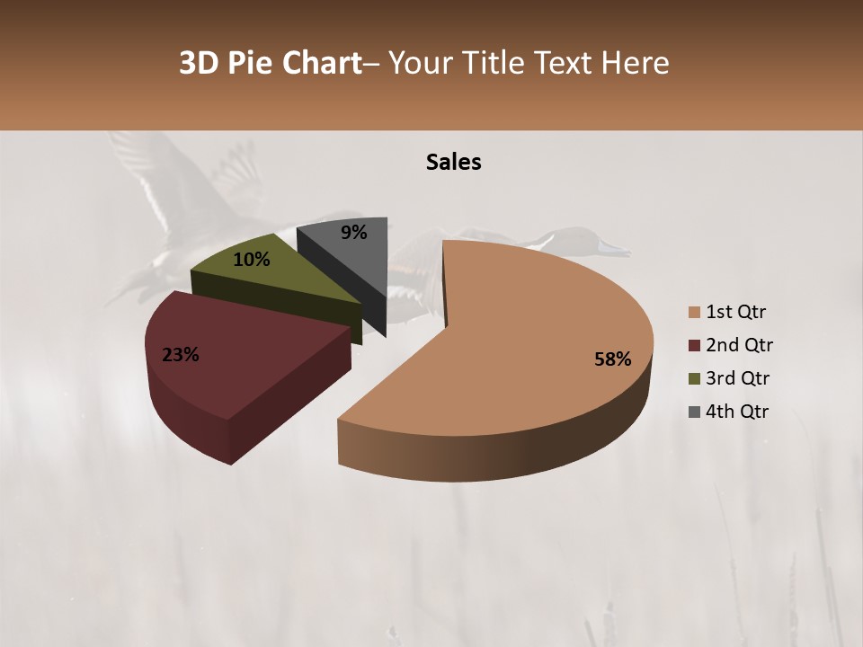 A Couple Of Birds Flying Over A Dry Grass Field PowerPoint Template