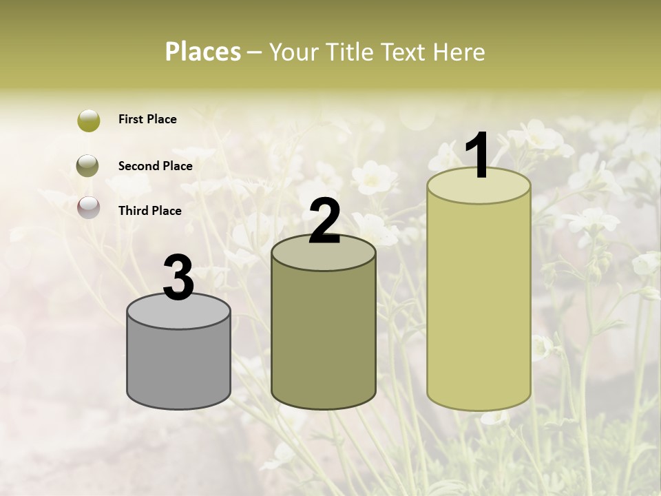 A Bunch Of Flowers That Are In The Grass PowerPoint Template