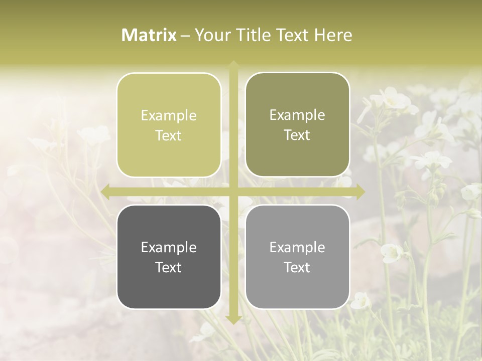 A Bunch Of Flowers That Are In The Grass PowerPoint Template