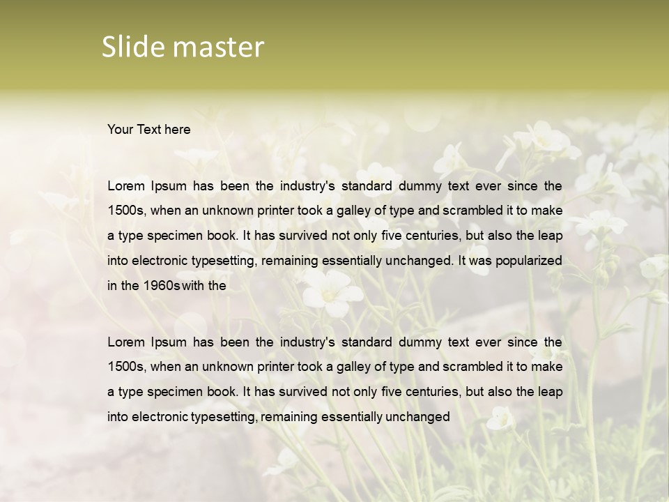 A Bunch Of Flowers That Are In The Grass PowerPoint Template