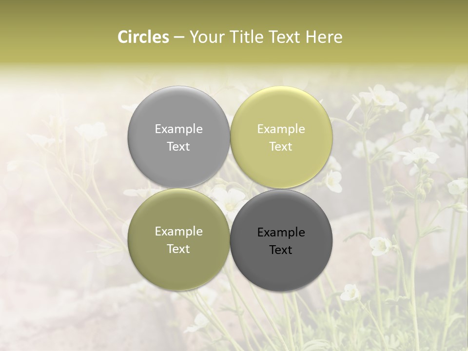 A Bunch Of Flowers That Are In The Grass PowerPoint Template