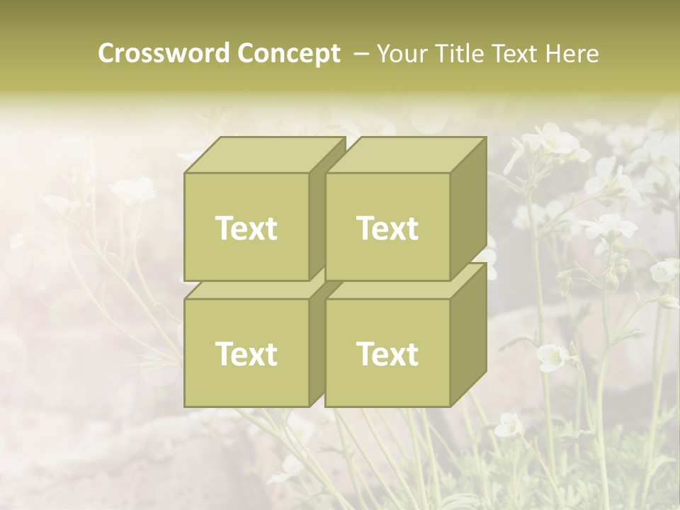 A Bunch Of Flowers That Are In The Grass PowerPoint Template