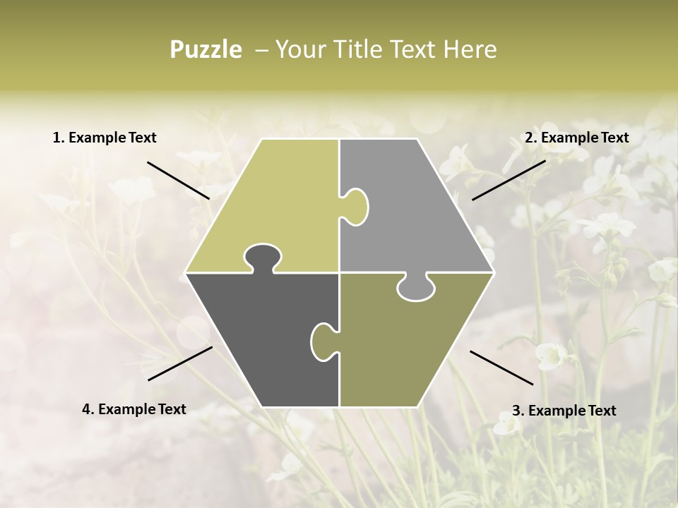 A Bunch Of Flowers That Are In The Grass PowerPoint Template