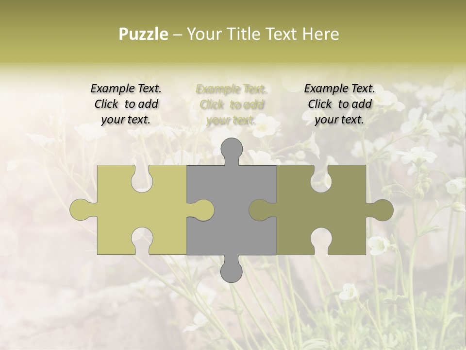 A Bunch Of Flowers That Are In The Grass PowerPoint Template