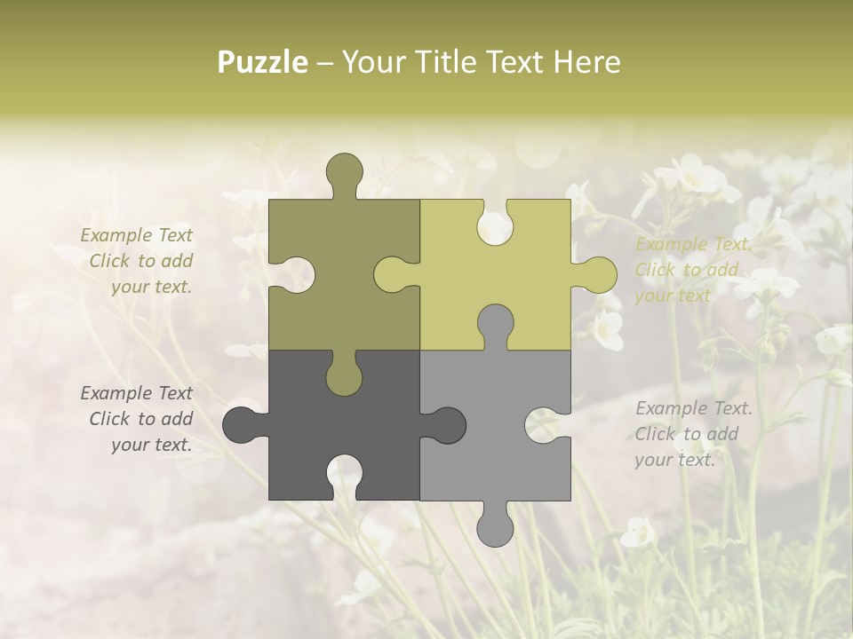 A Bunch Of Flowers That Are In The Grass PowerPoint Template