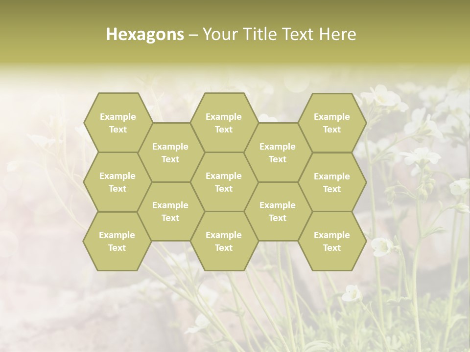 A Bunch Of Flowers That Are In The Grass PowerPoint Template