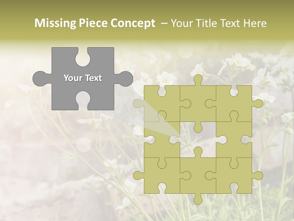 A Bunch Of Flowers That Are In The Grass PowerPoint Template