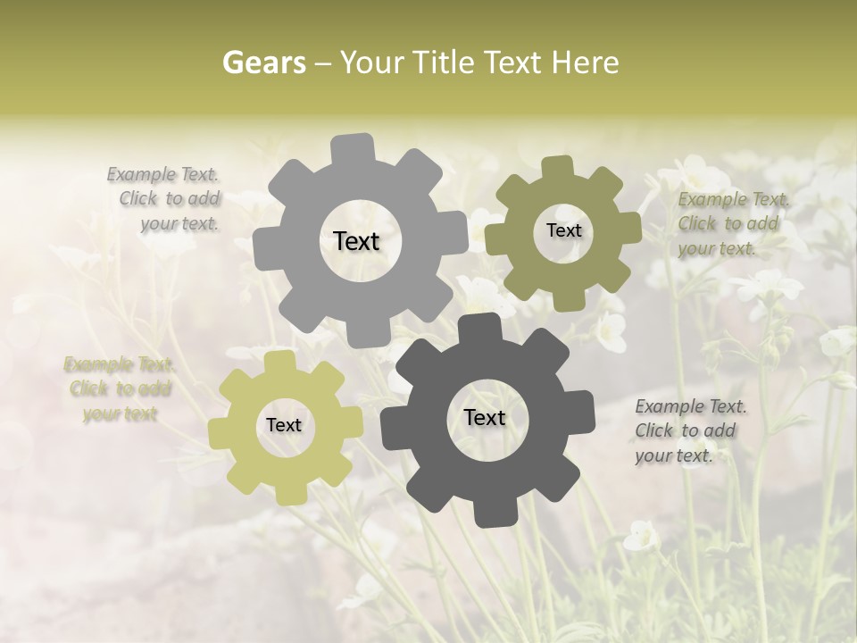 A Bunch Of Flowers That Are In The Grass PowerPoint Template