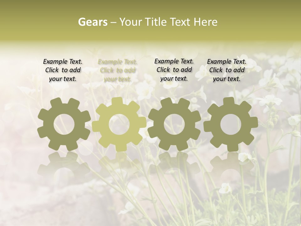 A Bunch Of Flowers That Are In The Grass PowerPoint Template