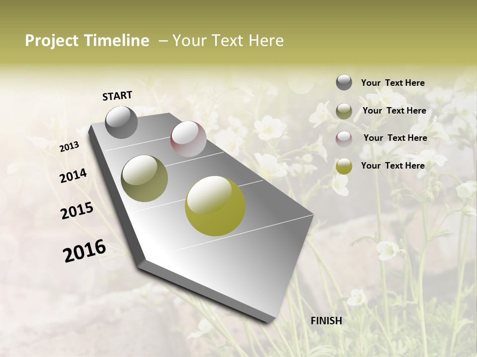 A Bunch Of Flowers That Are In The Grass PowerPoint Template