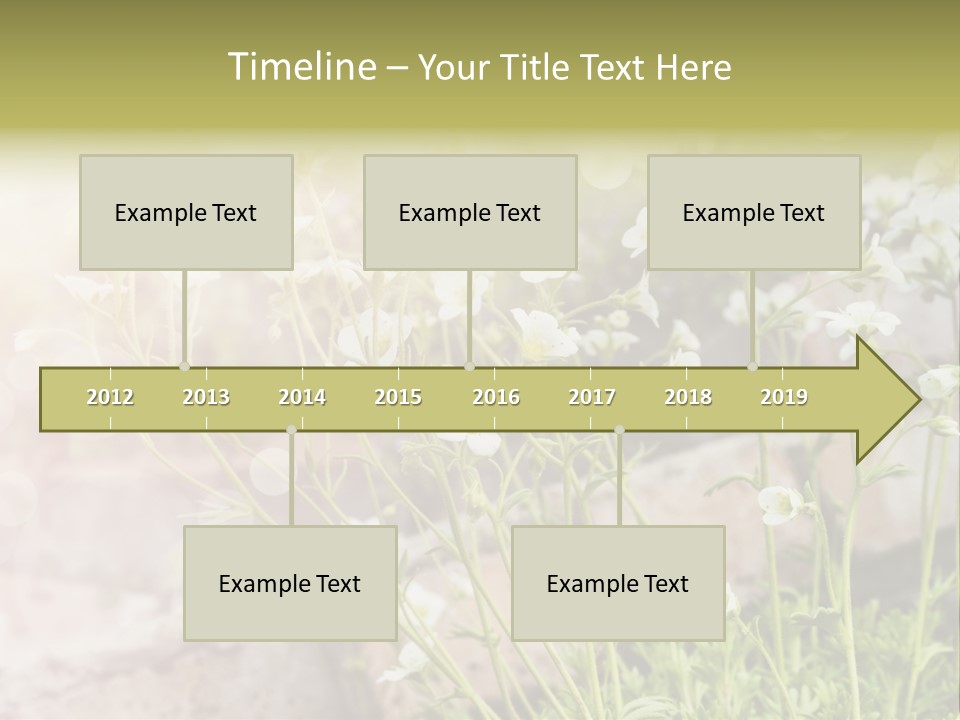 A Bunch Of Flowers That Are In The Grass PowerPoint Template