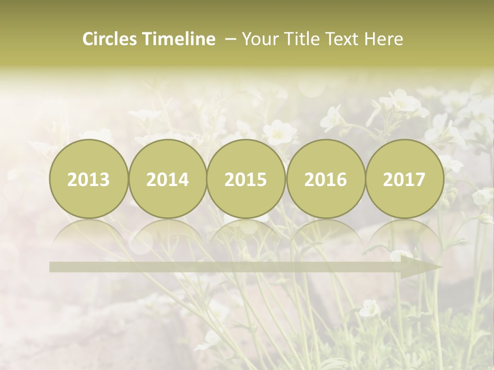 A Bunch Of Flowers That Are In The Grass PowerPoint Template