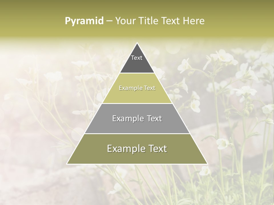 A Bunch Of Flowers That Are In The Grass PowerPoint Template