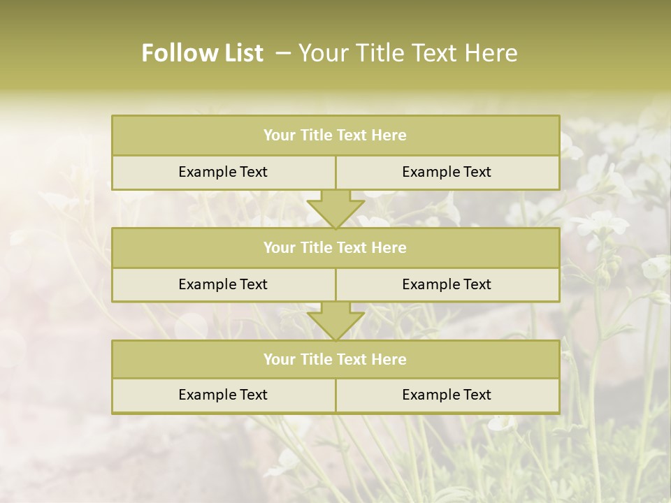 A Bunch Of Flowers That Are In The Grass PowerPoint Template