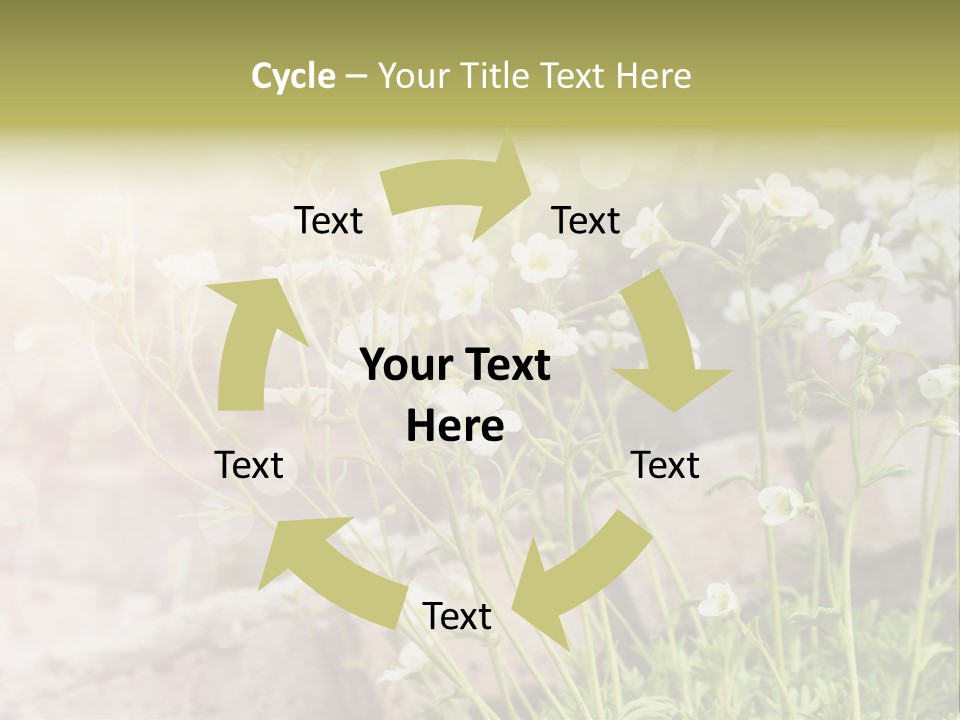 A Bunch Of Flowers That Are In The Grass PowerPoint Template