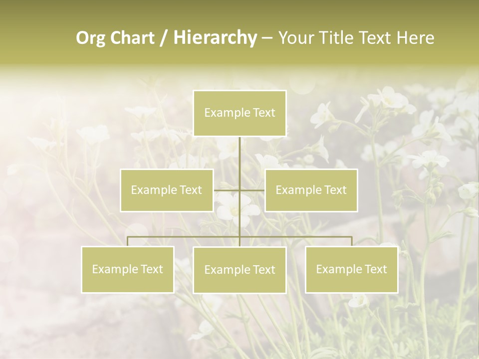 A Bunch Of Flowers That Are In The Grass PowerPoint Template