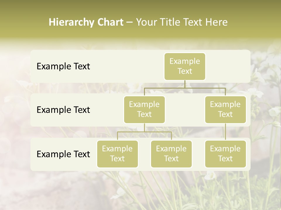 A Bunch Of Flowers That Are In The Grass PowerPoint Template