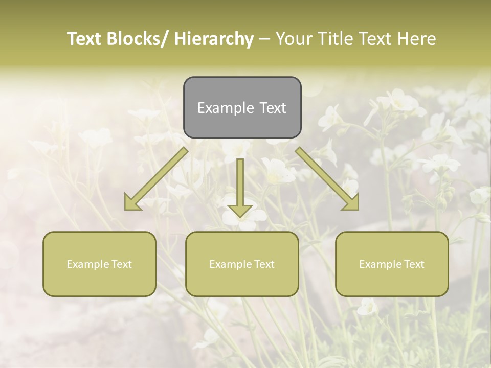 A Bunch Of Flowers That Are In The Grass PowerPoint Template