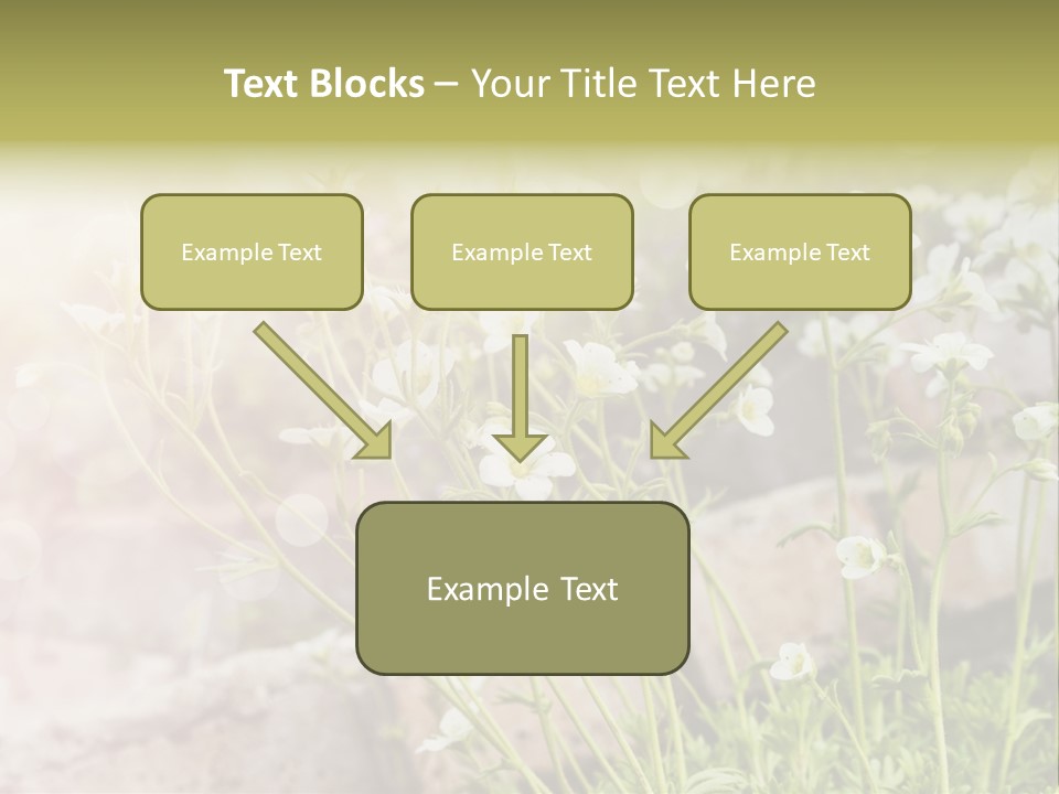 A Bunch Of Flowers That Are In The Grass PowerPoint Template