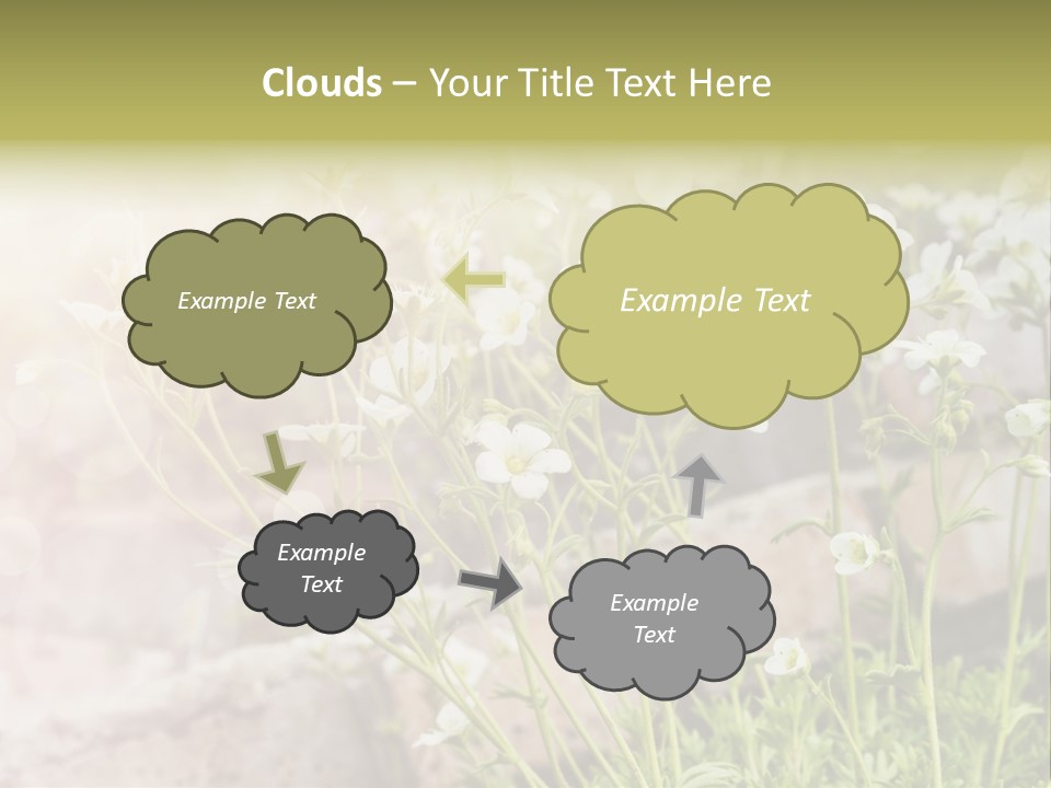 A Bunch Of Flowers That Are In The Grass PowerPoint Template