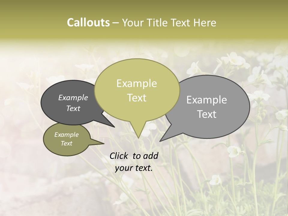 A Bunch Of Flowers That Are In The Grass PowerPoint Template