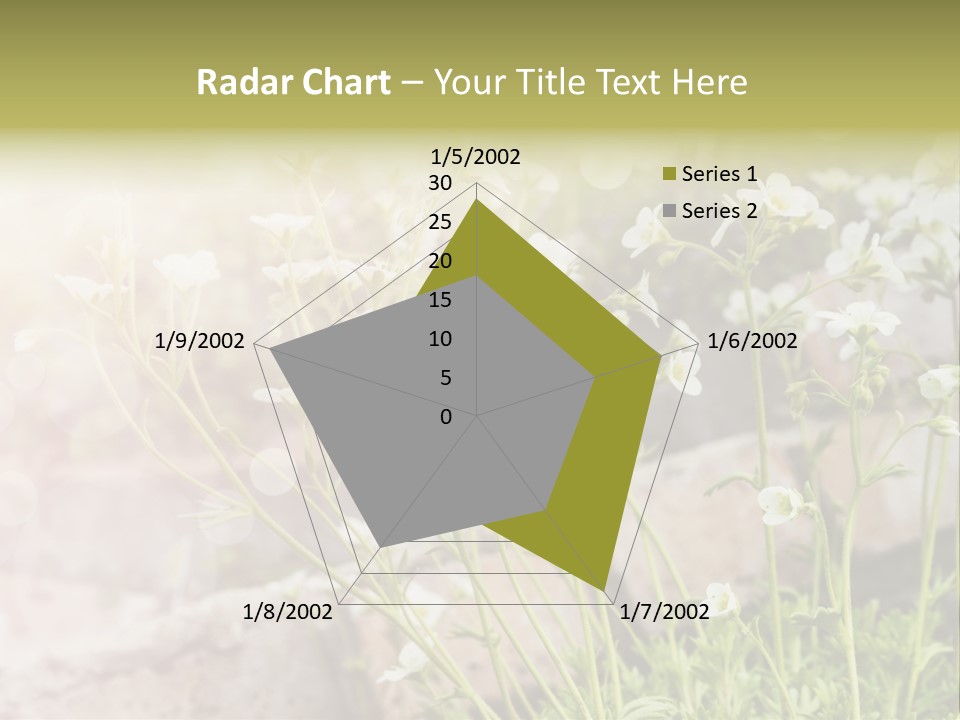 A Bunch Of Flowers That Are In The Grass PowerPoint Template