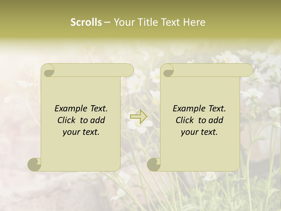 A Bunch Of Flowers That Are In The Grass PowerPoint Template