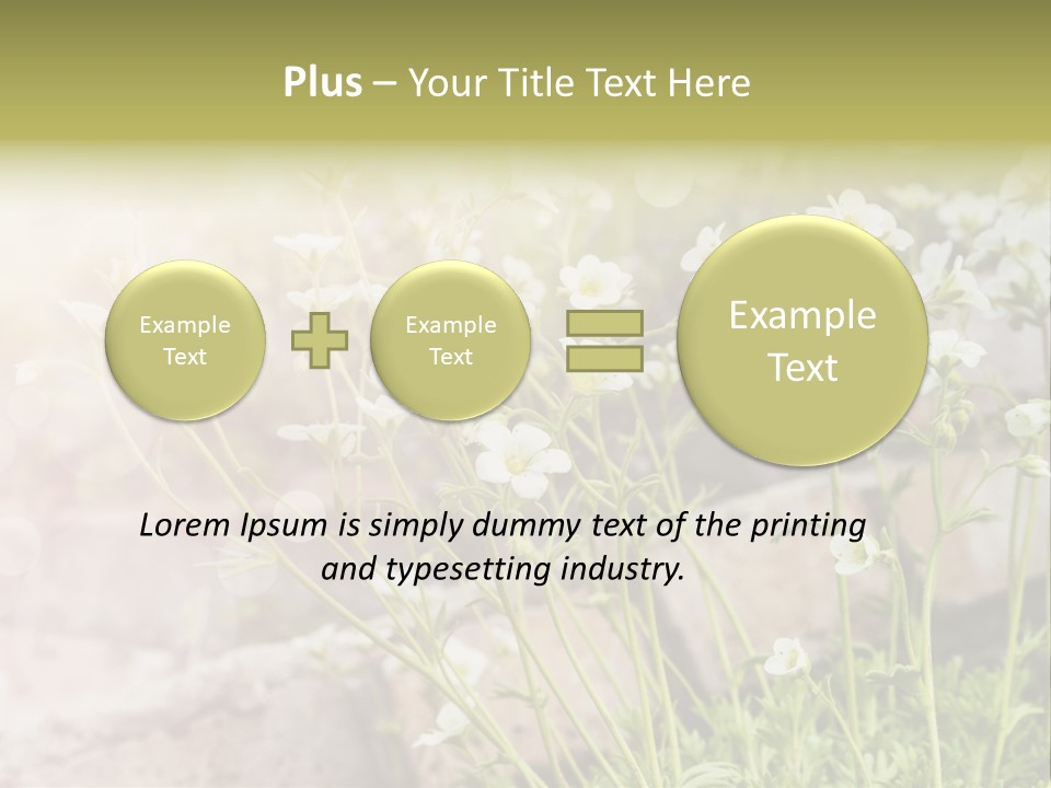 A Bunch Of Flowers That Are In The Grass PowerPoint Template