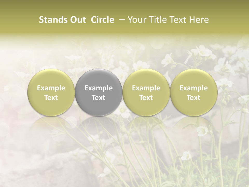 A Bunch Of Flowers That Are In The Grass PowerPoint Template