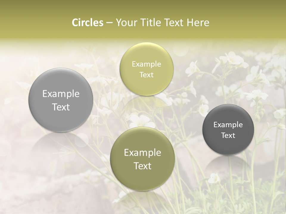 A Bunch Of Flowers That Are In The Grass PowerPoint Template