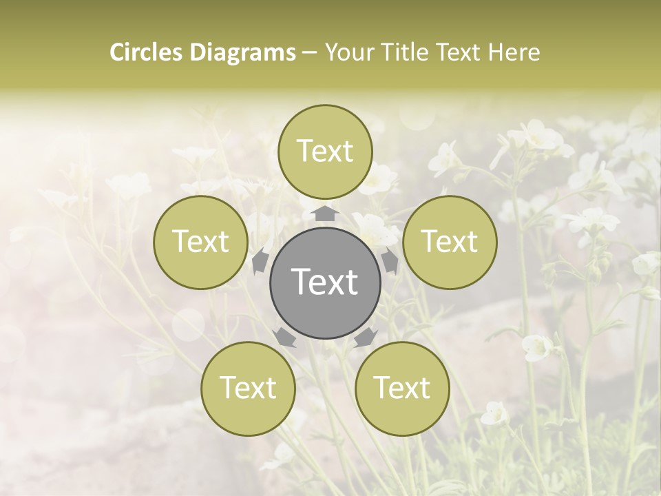 A Bunch Of Flowers That Are In The Grass PowerPoint Template