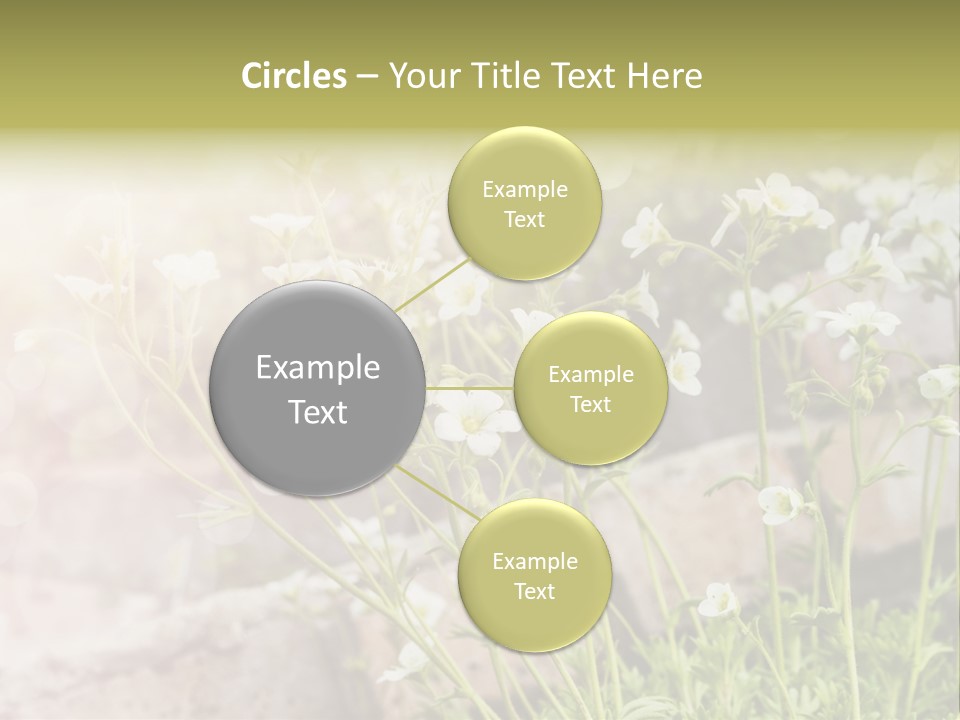 A Bunch Of Flowers That Are In The Grass PowerPoint Template