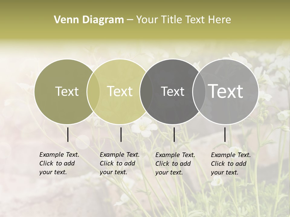 A Bunch Of Flowers That Are In The Grass PowerPoint Template