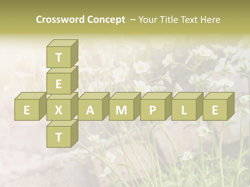 A Bunch Of Flowers That Are In The Grass PowerPoint Template