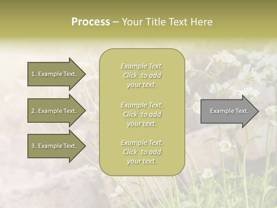 A Bunch Of Flowers That Are In The Grass PowerPoint Template
