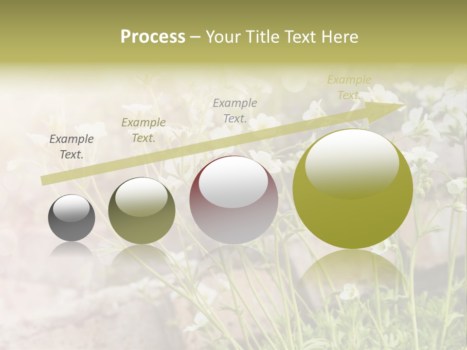 A Bunch Of Flowers That Are In The Grass PowerPoint Template