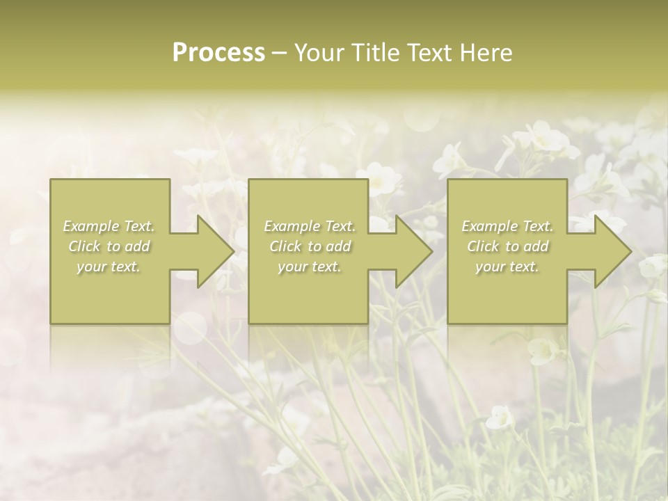 A Bunch Of Flowers That Are In The Grass PowerPoint Template