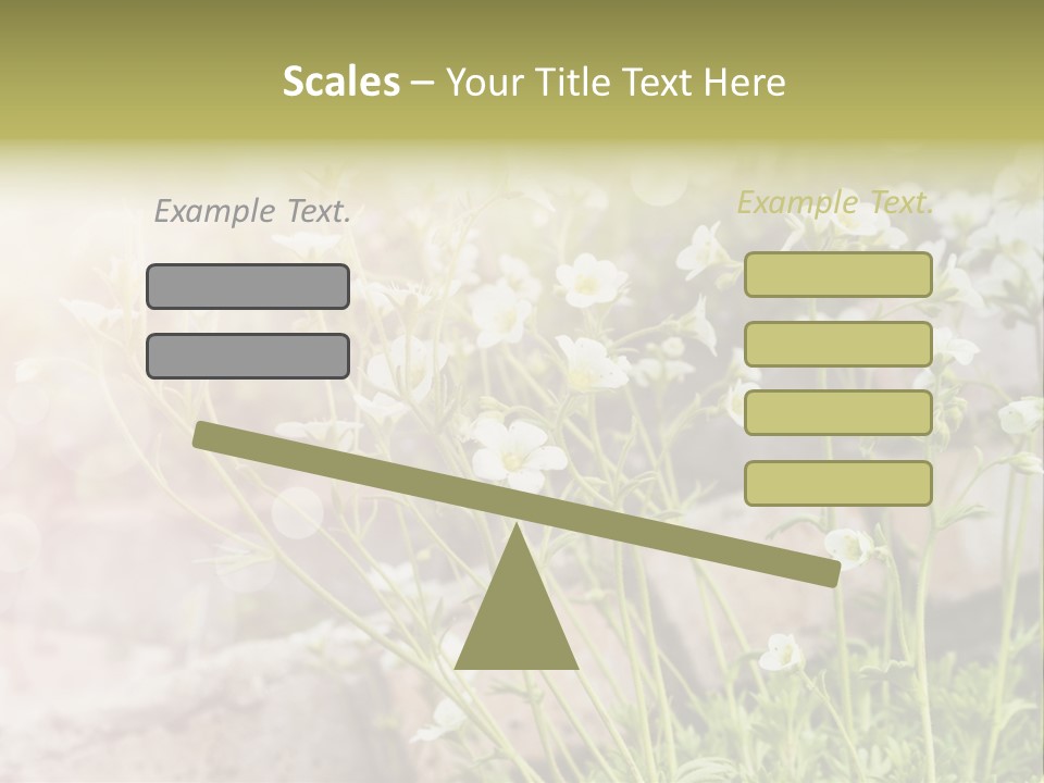 A Bunch Of Flowers That Are In The Grass PowerPoint Template