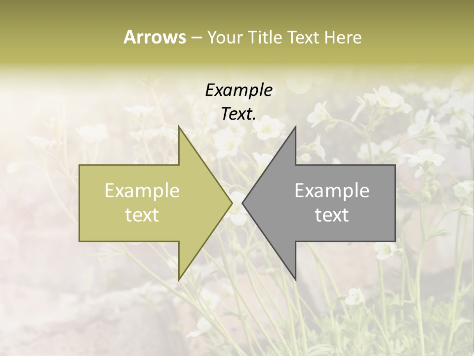 A Bunch Of Flowers That Are In The Grass PowerPoint Template