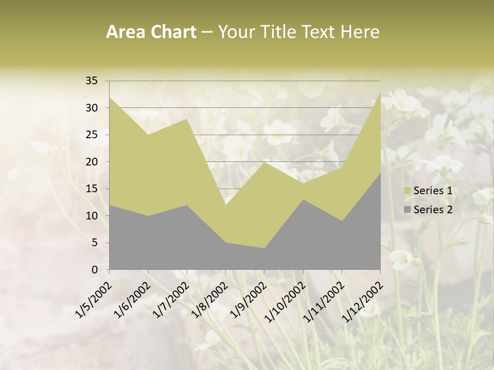 A Bunch Of Flowers That Are In The Grass PowerPoint Template