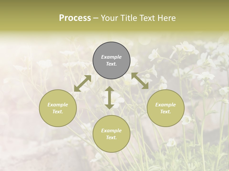 A Bunch Of Flowers That Are In The Grass PowerPoint Template