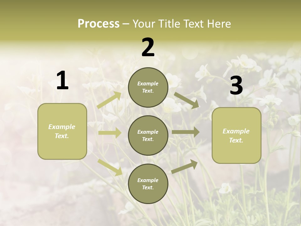 A Bunch Of Flowers That Are In The Grass PowerPoint Template