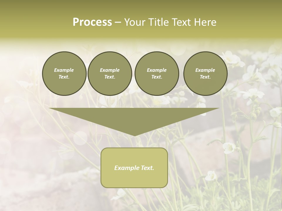 A Bunch Of Flowers That Are In The Grass PowerPoint Template