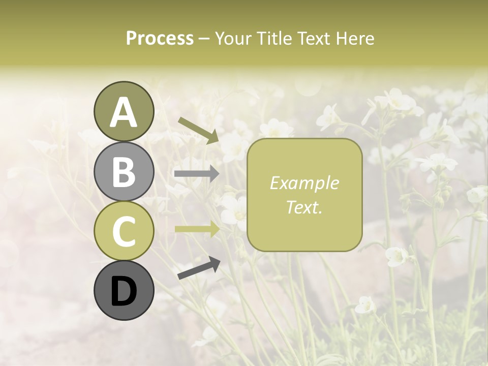 A Bunch Of Flowers That Are In The Grass PowerPoint Template