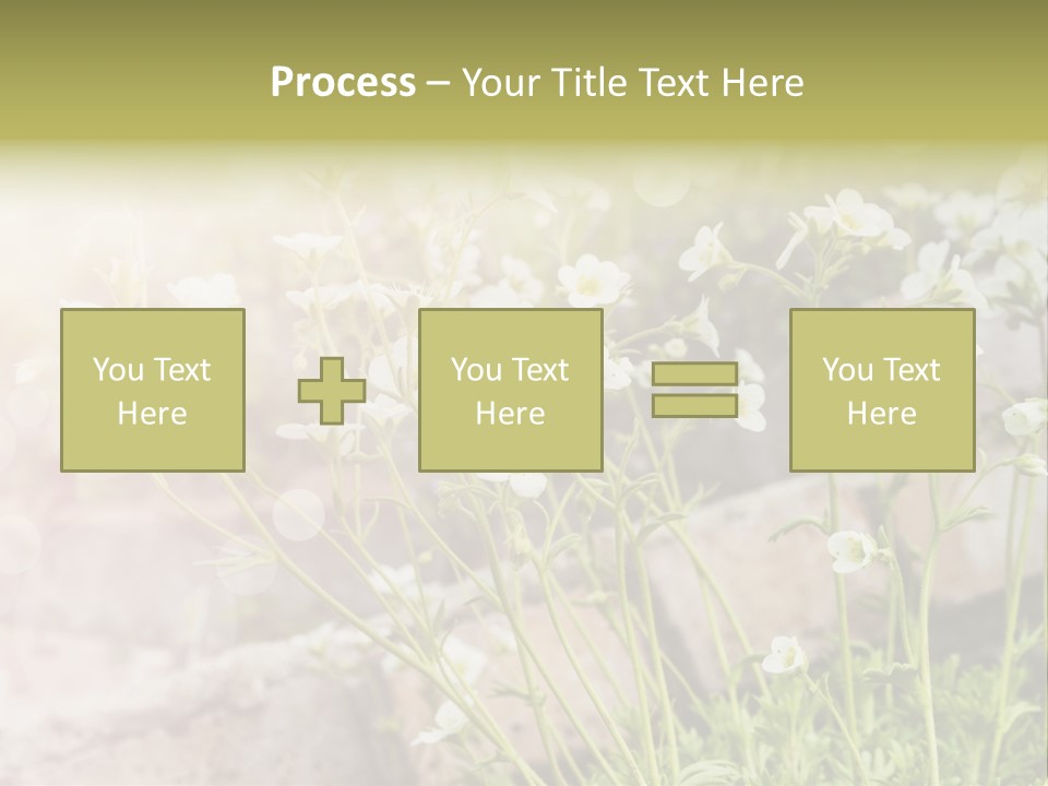 A Bunch Of Flowers That Are In The Grass PowerPoint Template