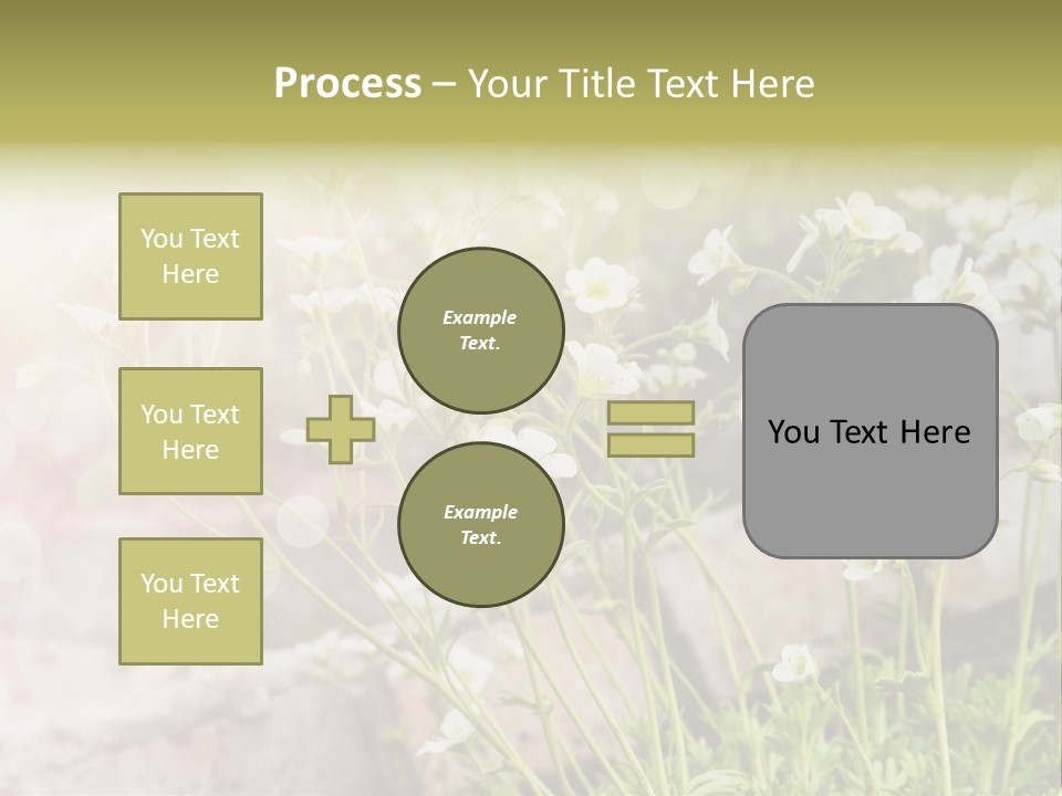 A Bunch Of Flowers That Are In The Grass PowerPoint Template